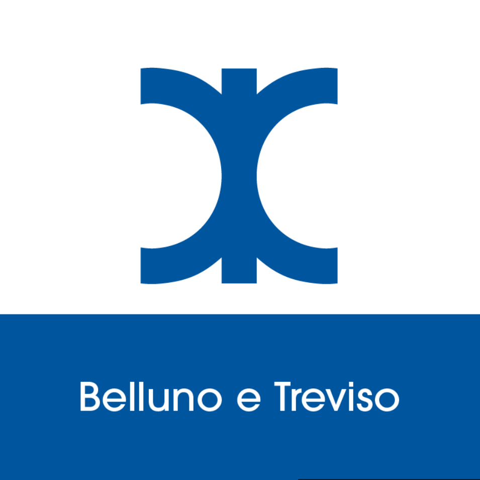 12-CONFCOOPERATIVE-TV_BL CONFCOOPERATIVE - UNIONE INTERPROVINCIALE DI BELLUNO E TREVISO