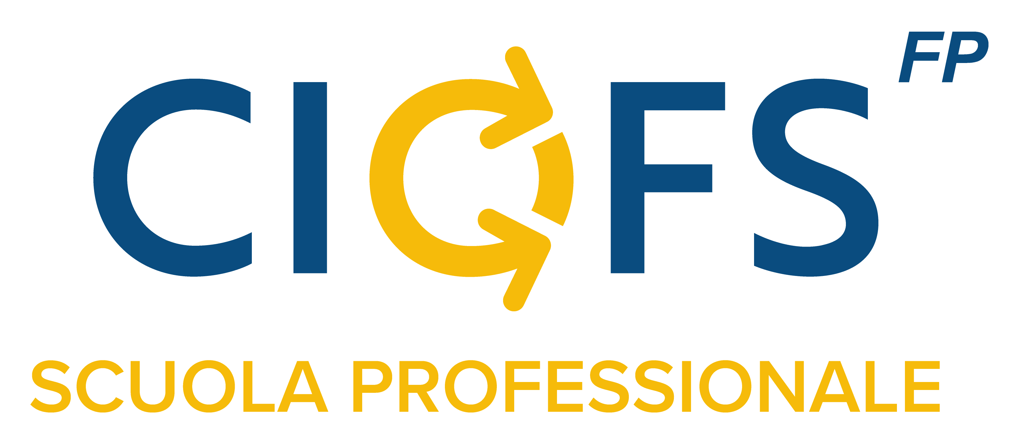 14-CIOFS C.I.O.F.S. / FP -VENETO