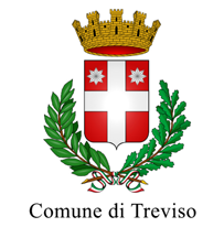 2-comune-treviso-203